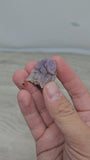 Calcédoine botryoïde agate violette 10g