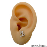 Boucles d'oreilles argentées signe du zodiaque capricorne en acier inoxydable