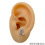 Boucles d'oreilles argentées signe du zodiaque scorpion en acier inoxydable