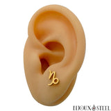 Boucles d'oreilles dorées signe du zodiaque capricorne en acier inoxydable