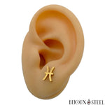 Boucles d'oreilles dorées signe du zodiaque poissons en acier inoxydable