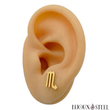 Boucles d'oreilles dorées signe du zodiaque scorpion en acier inoxydable